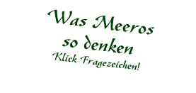 Was Meeros  so denken Klick Fragezeichen!