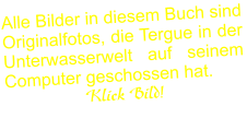 Alle Bilder in diesem Buch sind Originalfotos, die Tergue in der Unterwasserwelt auf seinem Computer geschossen hat. Klick Bild!